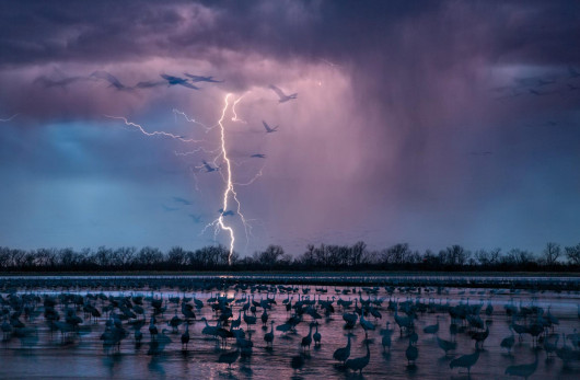 © RANDY OLSON | www.nationalgeographic.com