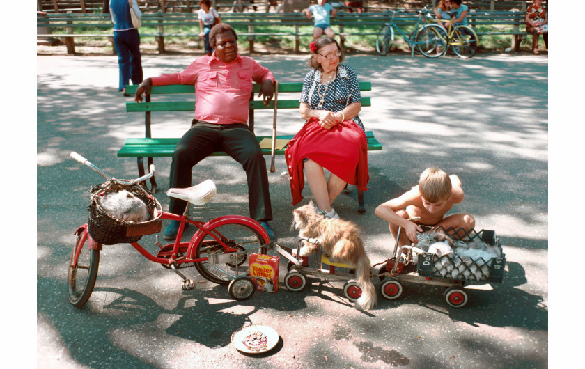 fot. D. Gorton, Cats on Parade, Central Park / NYC Park Photo Archive