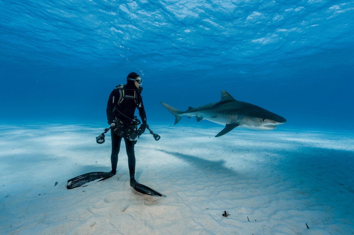 © BRIAN SKERRY | www.nationalgeographic.com
