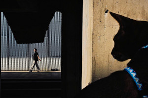 Mobile Photography Awards 2025 - zobacz najlepsze zdjęcia wykonane smartfonami. Polacy wśród nagrodzonych