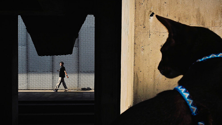 Mobile Photography Awards 2025 - zobacz najlepsze zdjęcia wykonane telefonami. Polacy wśród nagrodzonych