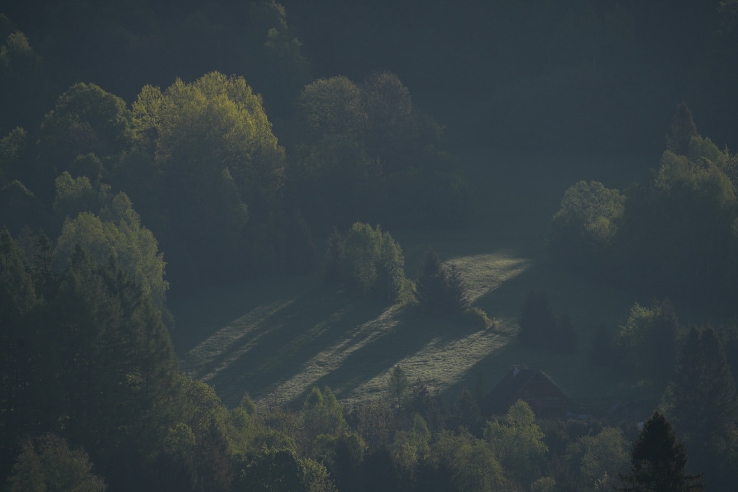 1/1000 s, f/8, ISO 200, 500.0 mm
