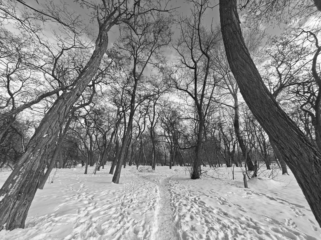 1/520 s, f/2, ISO 50, Moduł ultraszerokokątny