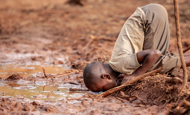  Zdjęcia, które poruszają. Zwycięzcy Environmental Photographer of the Year 2019