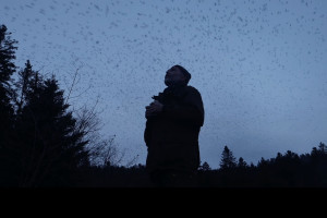 Najlepsze filmy dokumentalne w Multikinie - rusza nowy cykl Millennium Docs Against Gravity
