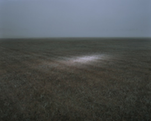 Szymon Rogiński Projekt UFO - wystawa w Galerii appendix2