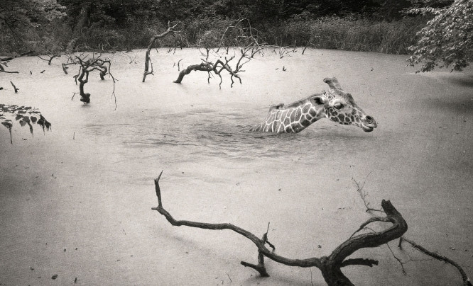 Czas próby - pandemia okiem fotografów Okręgu Dolnoślaskiego ZPAF