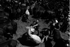 fot. Bartłomiej Jurecki - wyróżnienie w kategorii Photojournalism