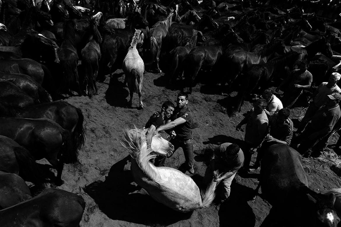 fot. Bartłomiej Jurecki - wyróżnienie w kategorii Photojournalism