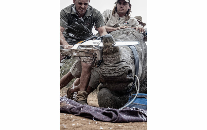 Neville Ngomane, Limpopo, RPA / Young environmental photographer of the year