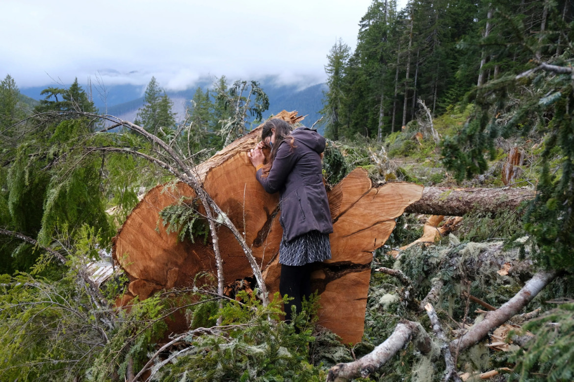 Fot Jennifer Osborne, z projektu "Fairy Creek" / Leica Women Photo Project 2025