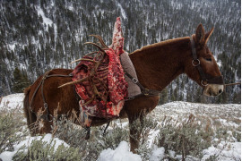 © DAVID GUTTENFELDER | www.nationalgeographic.com