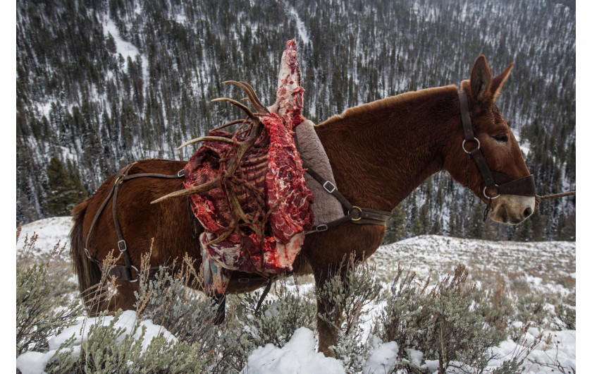 © DAVID GUTTENFELDER | www.nationalgeographic.com