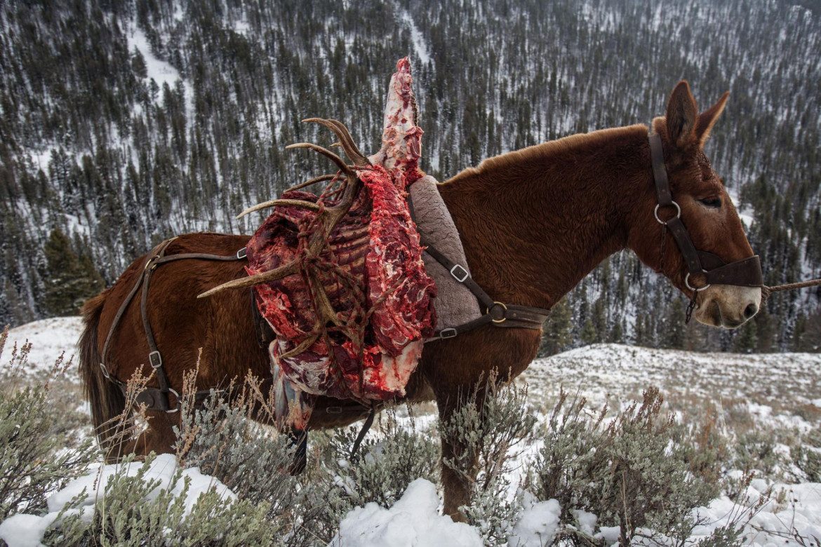 © DAVID GUTTENFELDER | www.nationalgeographic.com