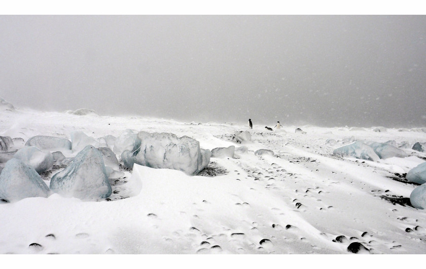 fot. Wojciech Walkiewicz, „Antarktika“