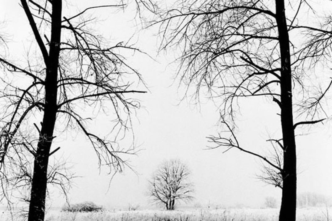 Krajobrazy Jerzego Łapińskiego w Warszawie