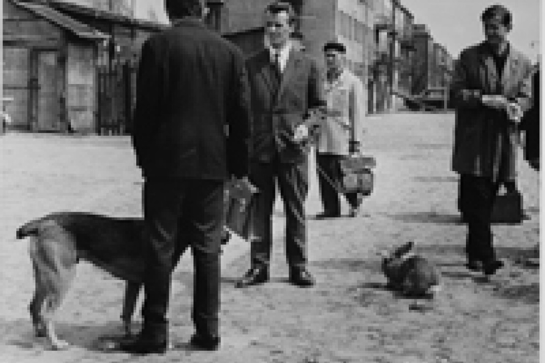 Internetowa aukcja zdjęć Bogdana Łopieńskiego