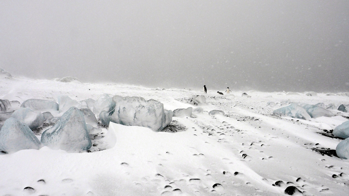 fot. Wojciech Walkiewicz, „Antarktika“