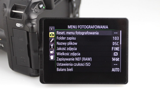 Nikon D5500