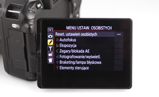Nikon D5500