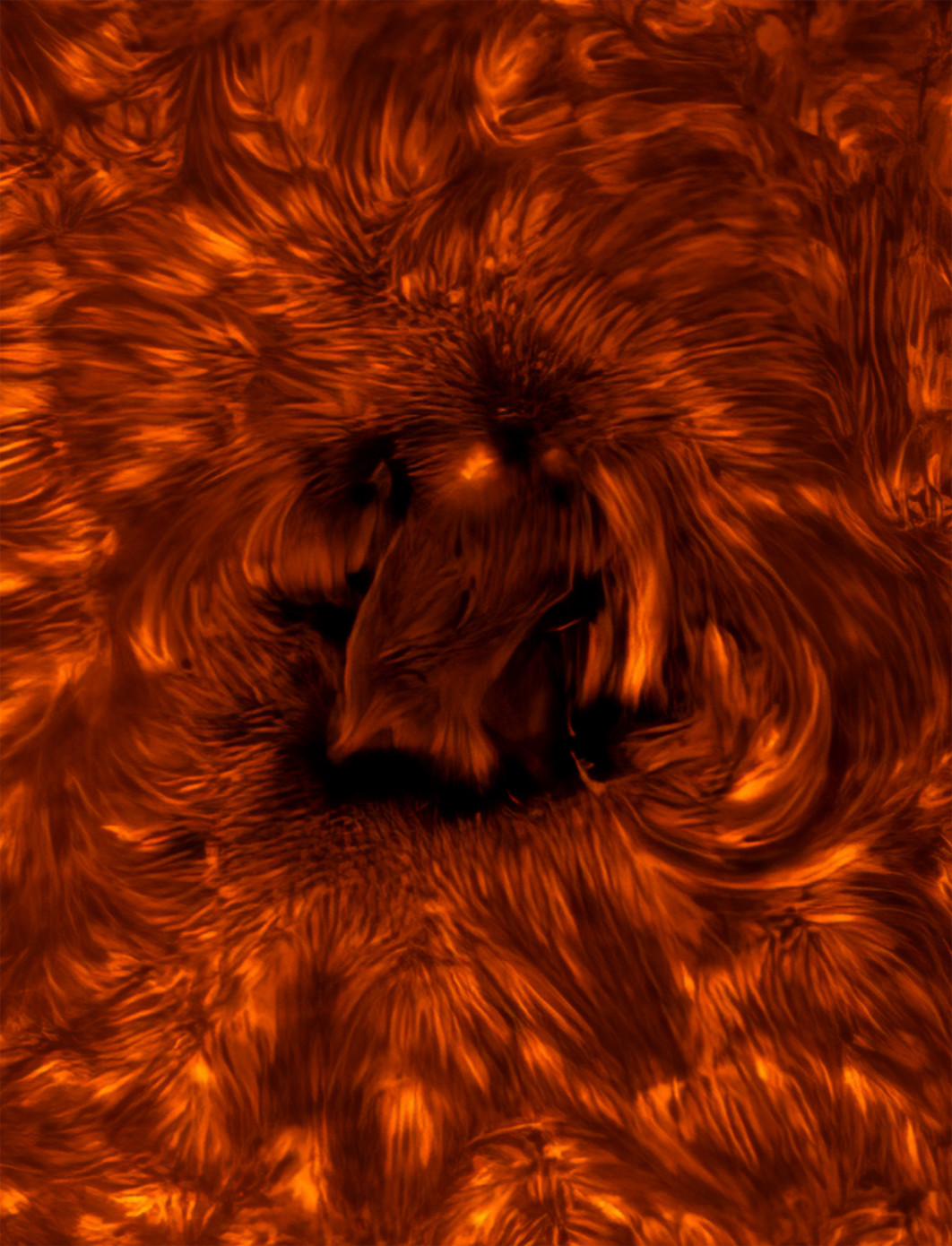 Fot.James Sinclair, &quot;Active Region of the Sun's Chromosphere&quot;, 1. miejsce w kat. Our Sun / ZWO Astronomy Photographer of the Year 2025