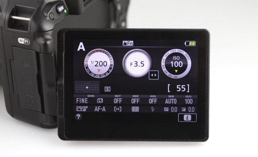 Nikon D5500