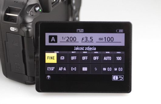 Nikon D5500