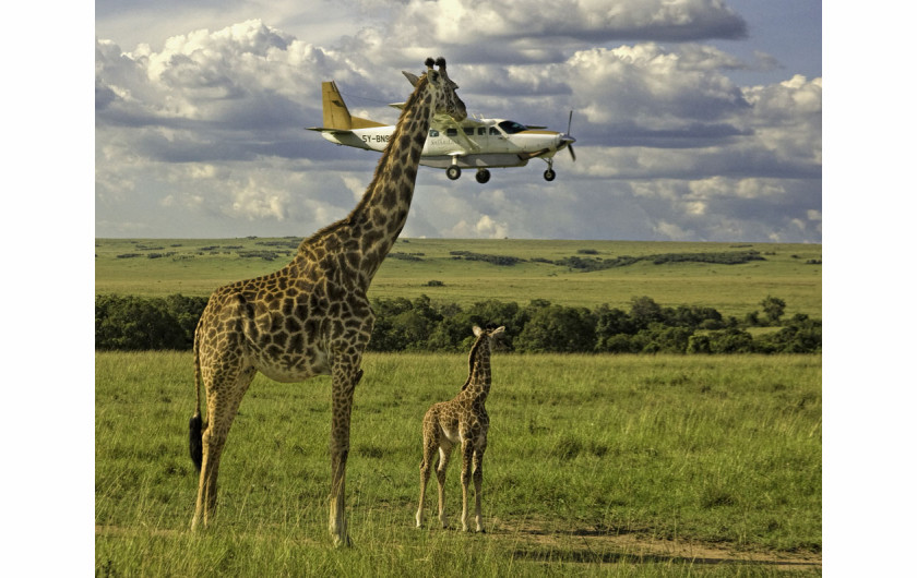 fot. materiały prasowe Comedy Wildlife Photography Awards