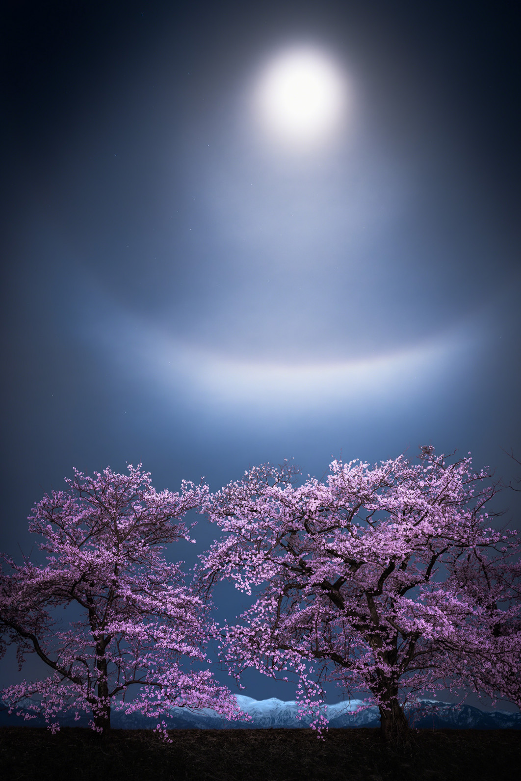 Fot. Takanobu Kurosaki, "Setsu-getsu-ka", nominacja w kat. Skyscapes / 