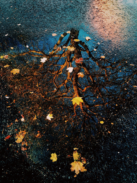 2 miejsce: Abstract - Joshua Sariñana