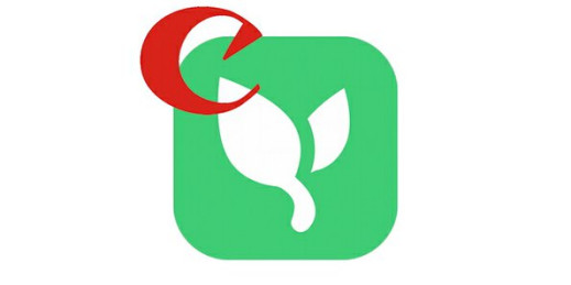 Canon przejmuje platformę Lifecake, przeznaczoną do dzielenia się zdjęciami rodzinnymi