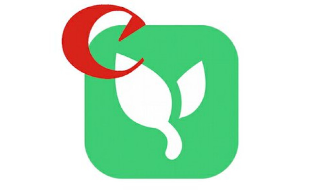  Canon przejmuje platformę Lifecake, przeznaczoną do dzielenia się zdjęciami rodzinnymi