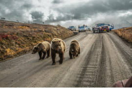 © AARON HUEY | www.nationalgeographic.com