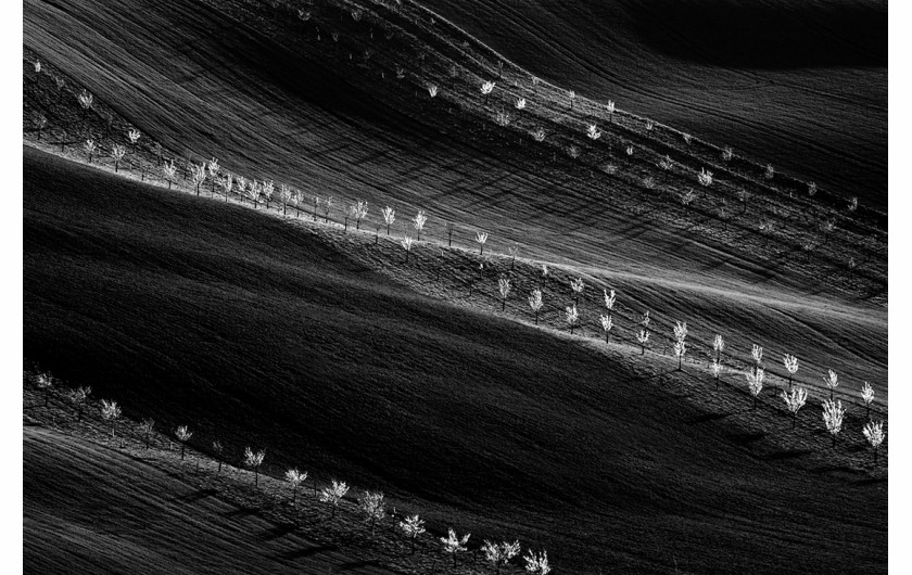 fot. Mariusz Krzyżak, z cyklu Monoculture, 3. nagroda w kategorii Landscapes / Monovisions Photography Awards 2019