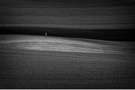 fot. Mariusz Krzyżak, z cyklu "Monoculture", 3. nagroda w kategorii Landscapes / Monovisions Photography Awards 2019