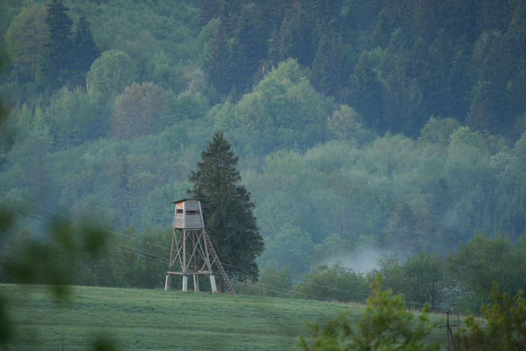 1/250 s, f/5.6, ISO 800, 500.0 mm