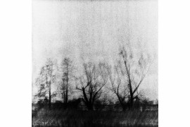 fot. Radosław Wróbel, z cyklu "Winter Mist", wyróżnienie