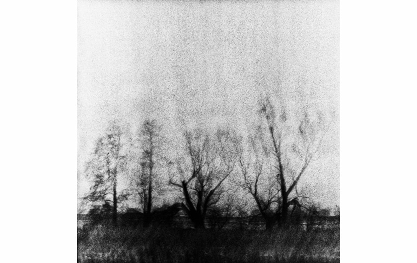 fot. Radosław Wróbel, z cyklu Winter Mist, wyróżnienie