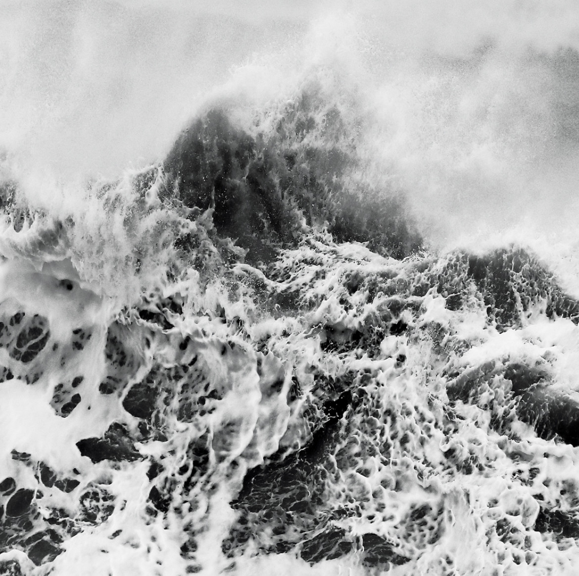 fot. Romain Tornay, z cyklu "Ocean", 1. nagroda w kategorii Nature & Wildlife / Monovisions Photography Awards 2019