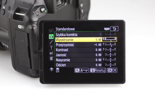 Nikon D5500