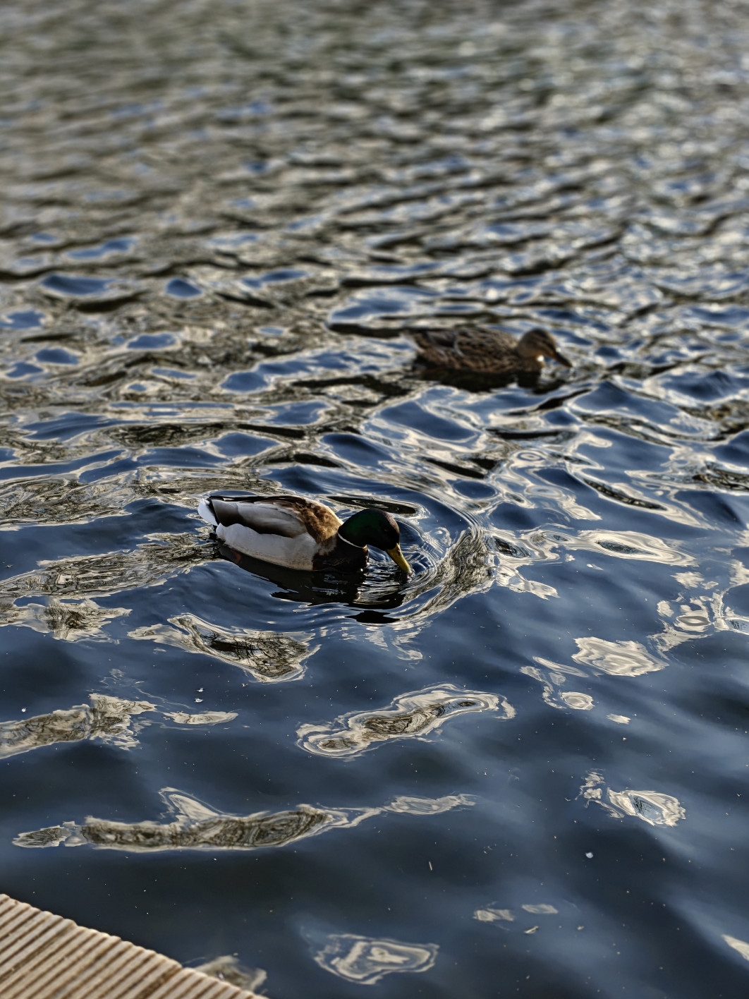 1/400 s, f/2.8, ISO 250, 13.8 mm