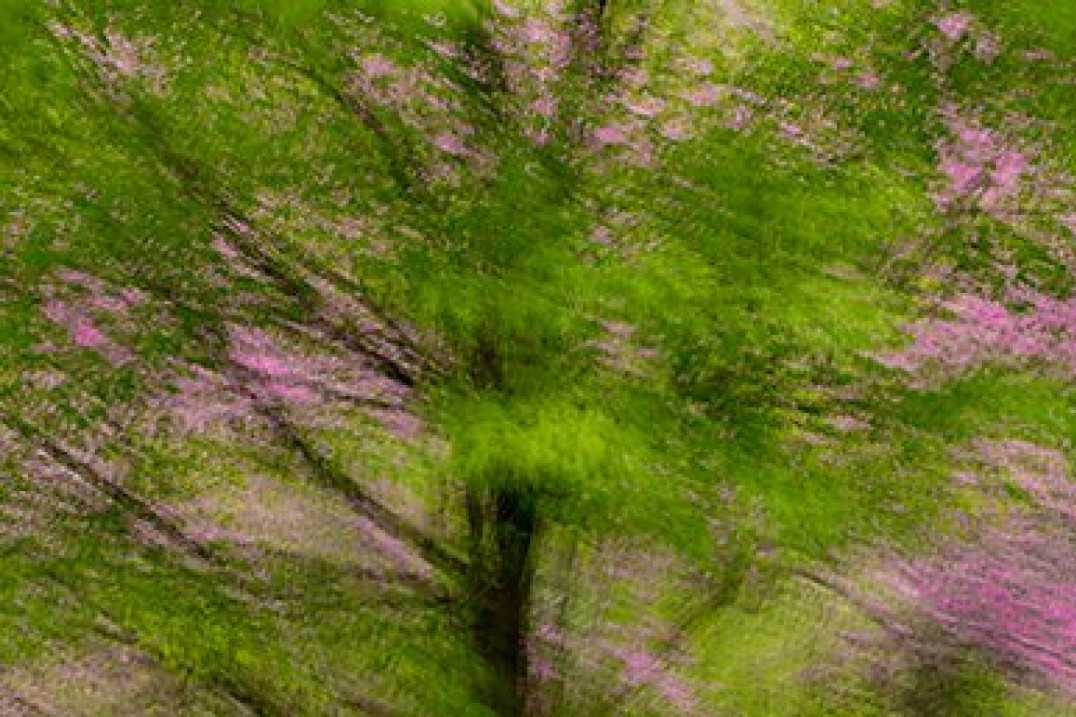 Foto porady Szkoły Perfekcyjnej Fotografii na fotopolis.pl - "Magia wielokrotnej ekspozycji"