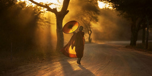 Najpiękniejsze zgłoszenia z konkursu National Geographic Photo Contest 2015