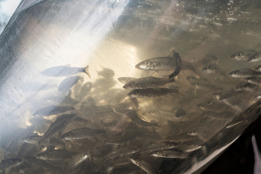 Dopływy, drgania, powidoki i pieśni na brzegach - Rafał Siderski i Małgorzata Lebda w galerii Poprzeczna