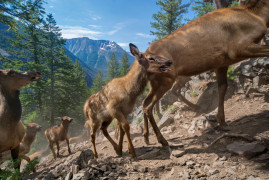 © JOE RIIS | www.nationalgeographic.com