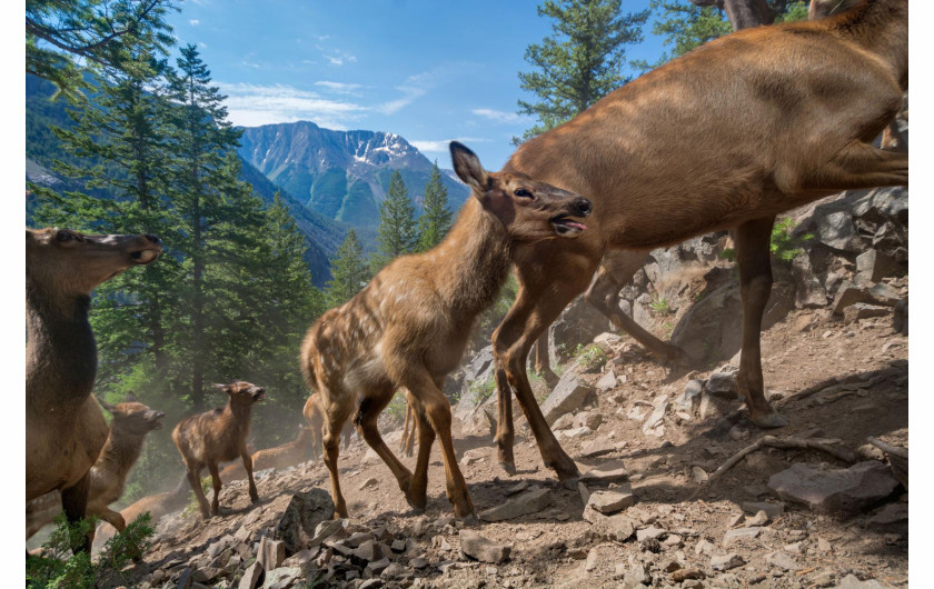 © JOE RIIS | www.nationalgeographic.com