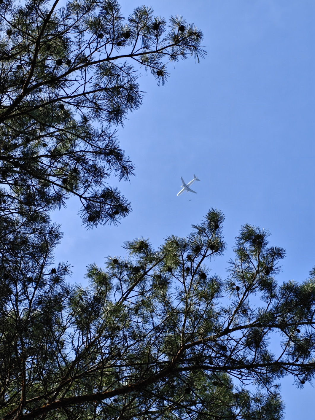 1/408 s, f/2.6, ISO 80, 13.8 mm