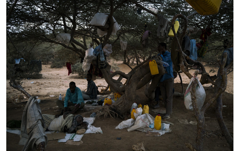 fot. Adriane Ohanesian, Obock, Djibouti, emigranci z Etiopii żyją pod drzewem w oczekiwaniu na łódź, która miała przetransportować ich do Jemenu