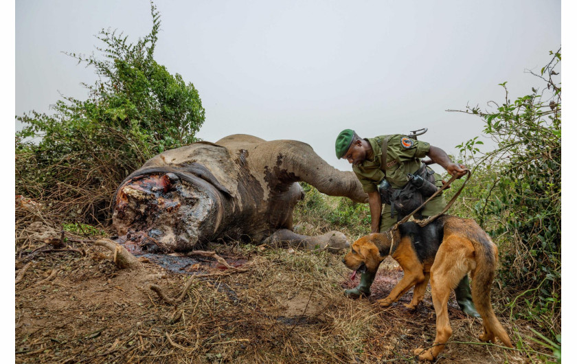 © BRENT STIRTON | www.nationalgeographic.com