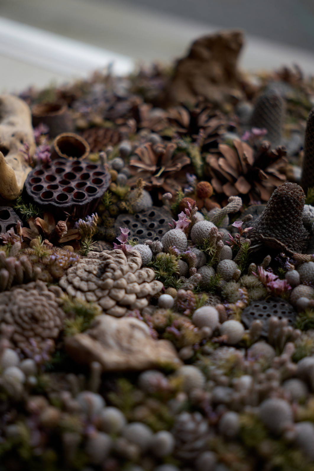 1/1000 s, f/1.8, ISO 100, 40.0 mm